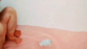 ВЛОГ Купаемся в ванной!Vlogue Bathe in the bathroom