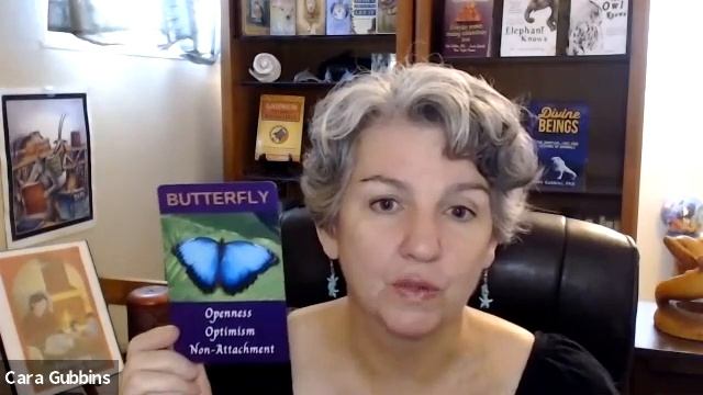 September Forecast with Animal Wisdom Oracle Cards Time to let your dreams take flight! смотреть онлайн
