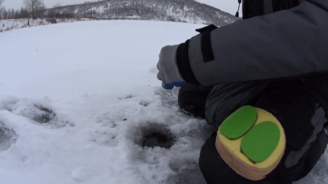 Первый лёд! За крупной плотвой и окунем на озеро в Кедровке. смотреть онлайн