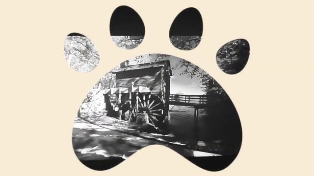 VLOG:ПОСЛЕДНИЙ ДЕНЬ ОСЕНИ🍂🍁ДЕНЬ ДОМАШНИХ ЖИВОТНЫХ ТЕМА:PETS ОСТАВЛЯЮТ СЛЕДЫ В НАШИХ СЕРДЦАХ 30.11 смотреть онлайн