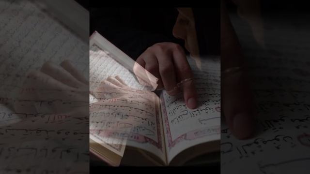 Каждая девушка должна прочитать эту книгу «МУСУЛЬМАНКА» ?? #коран #книга #ДневникМусульманки смотреть онлайн