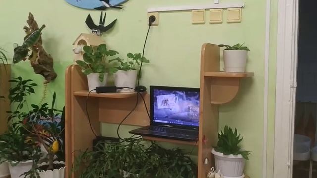 Опытно-экспериментальная деятельность в средней группе "Как звери меняют шубку?" 12. 11. 21 г. смотреть онлайн