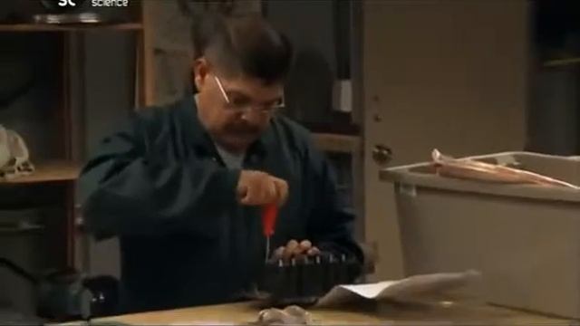 Больше, лучше, быстрее, сильнее 1 Пылесос смотреть онлайн