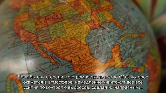 Что такое «зомби-пожары» и как они создают порочный круг глобального потепления смотреть онлайн
