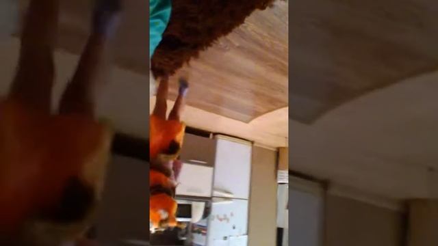 Мереем костюм белочки смотреть онлайн