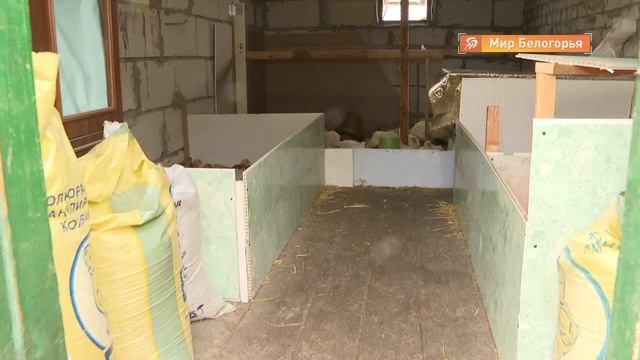 Семья из Красного получила 100 тыс. руб. на развитие ЛПХ смотреть онлайн