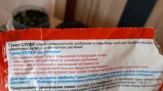 Мода и Стиль для Подростков