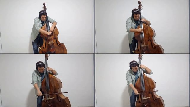 Fallen Down - Undertale / Double Bass Cover смотреть онлайн