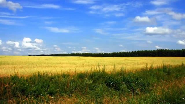 Не для того пришел Господь, чтобы примирить добро со злом. Святитель Николай Сербский. смотреть онлайн