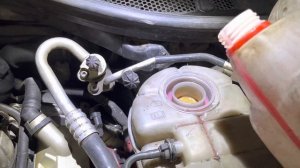 Ауди,масло в антифризе! Будем искать причину ???