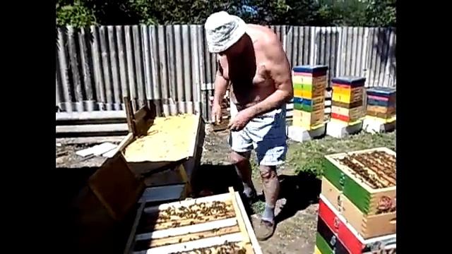 Формируем отводки в альпийских ульях Н108 смотреть онлайн