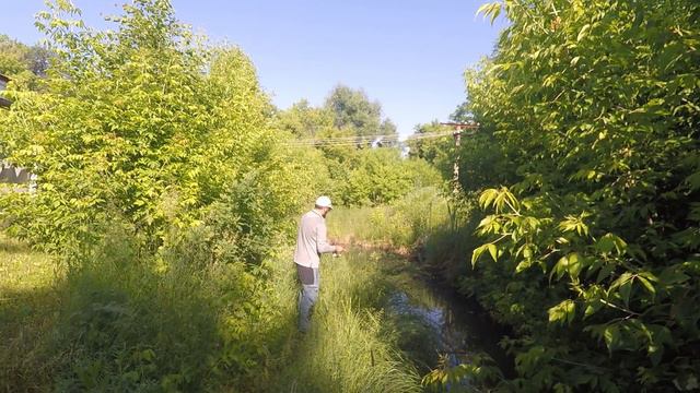 Поймать окуня в луже. смотреть онлайн