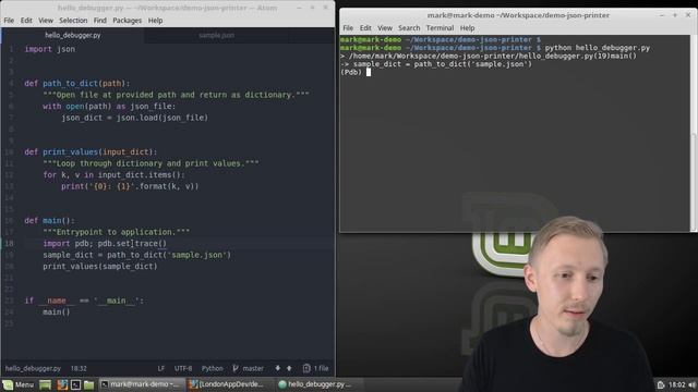 Introduction to the Python Debugger смотреть онлайн