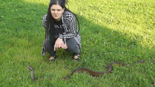 Гуляем в парке с сетчатым питоном. Это что, змея??))) смотреть онлайн