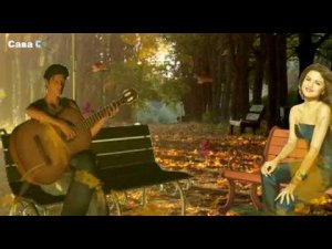 Осторожно листопад. Георгий Петренко