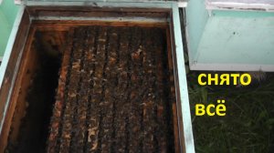 ежегодное осеннее мероприятие