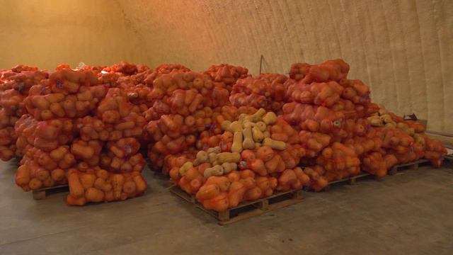 Кореновск. Сельхозкооператив «Кубанское поле» готов помочь фермерам. смотреть онлайн