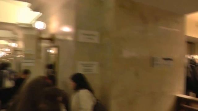 Музей Эрмитаж в Санкт-Петербурге (вход в музей и гардероб) смотреть онлайн