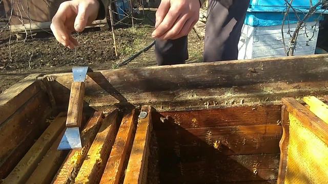 Как пересадить пчел в новый улей после зимовки? смотреть онлайн