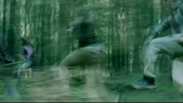 Тіні незабутих предків Unforgotten Shadows тизер смотреть онлайн