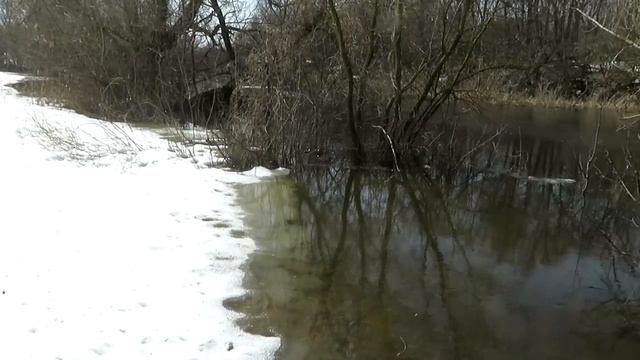 Весенние заботы.Барсик добывает еду смотреть онлайн