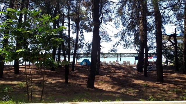 Что нужно знать перед поездкой в Абхазию? смотреть онлайн