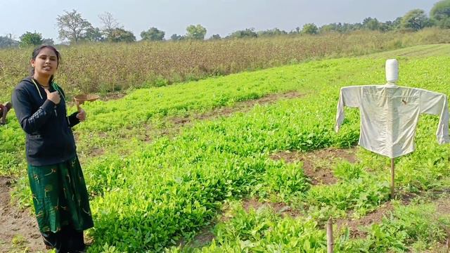 Kuthe nighale me, maz shet, maz ran, my farm vlog 2 смотреть онлайн