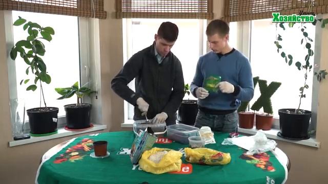 Почва для рассады!!!! Купить или сделать самому? Мы сравнили смотреть онлайн