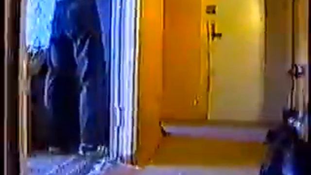Дрессировка собак для охраны. Набережные Челны . смотреть онлайн