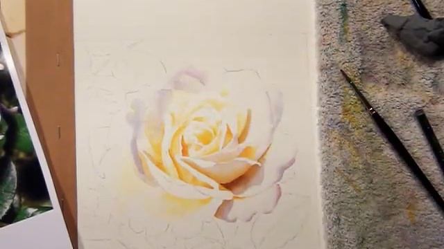 Watercolor DVD - Video - How to paint a white rose by Doris Joa смотреть онлайн