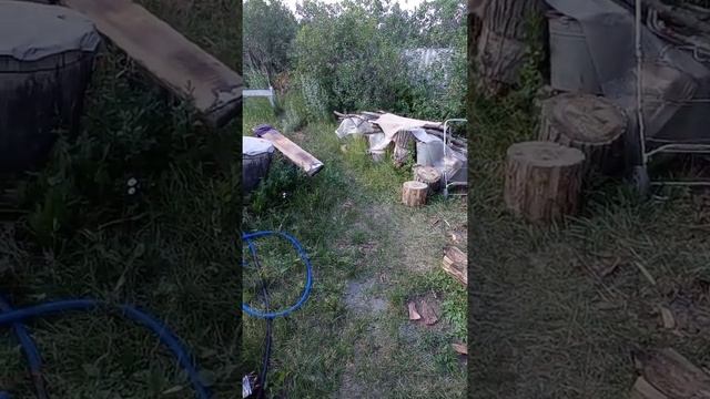 Квест для детей // Летний квест // смотреть онлайн