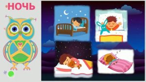 Совёнок Финик  Время суток для детей  Утро, день, вечер, ночь