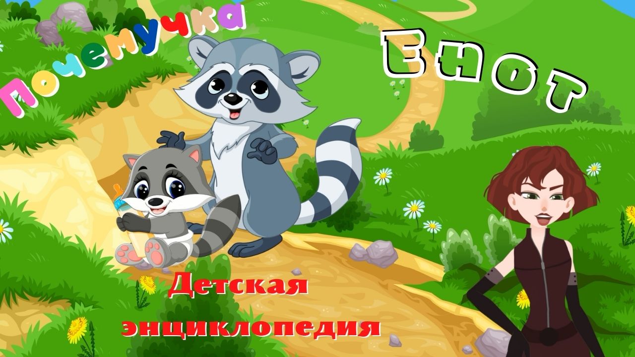 Интересные факты о енотах. Почемучка. Детская энциклопедия. смотреть онлайн