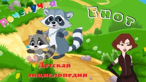 Интересные факты о енотах. Почемучка. Детская энциклопедия.