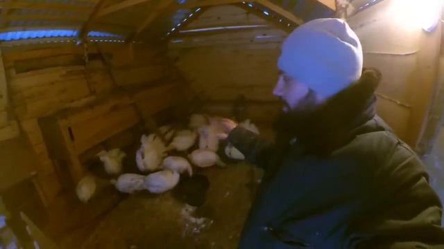 ВЕРНУЛСЯ ИЗ МОСКВЫ // хутор Загайки смотреть онлайн