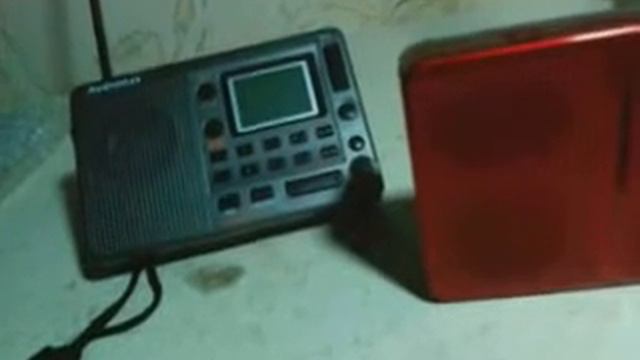 AudioMax SRW-810S &  L-258 радиохулиганы на 3 мГц