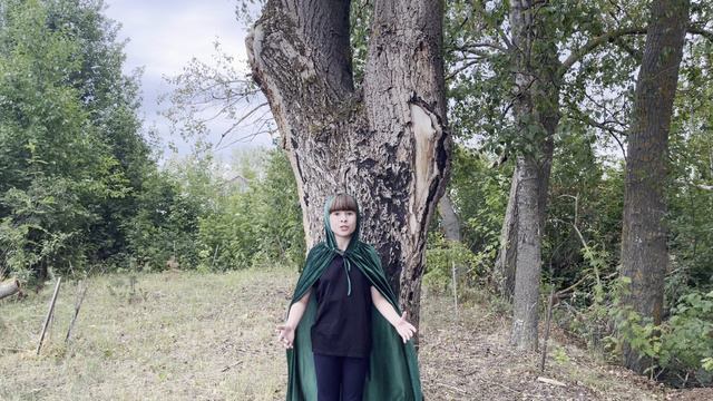 Анчар. А.С.Пушкин