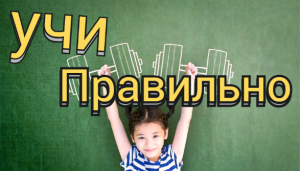 5 способов, как заставить ребенка учиться: советы психологов