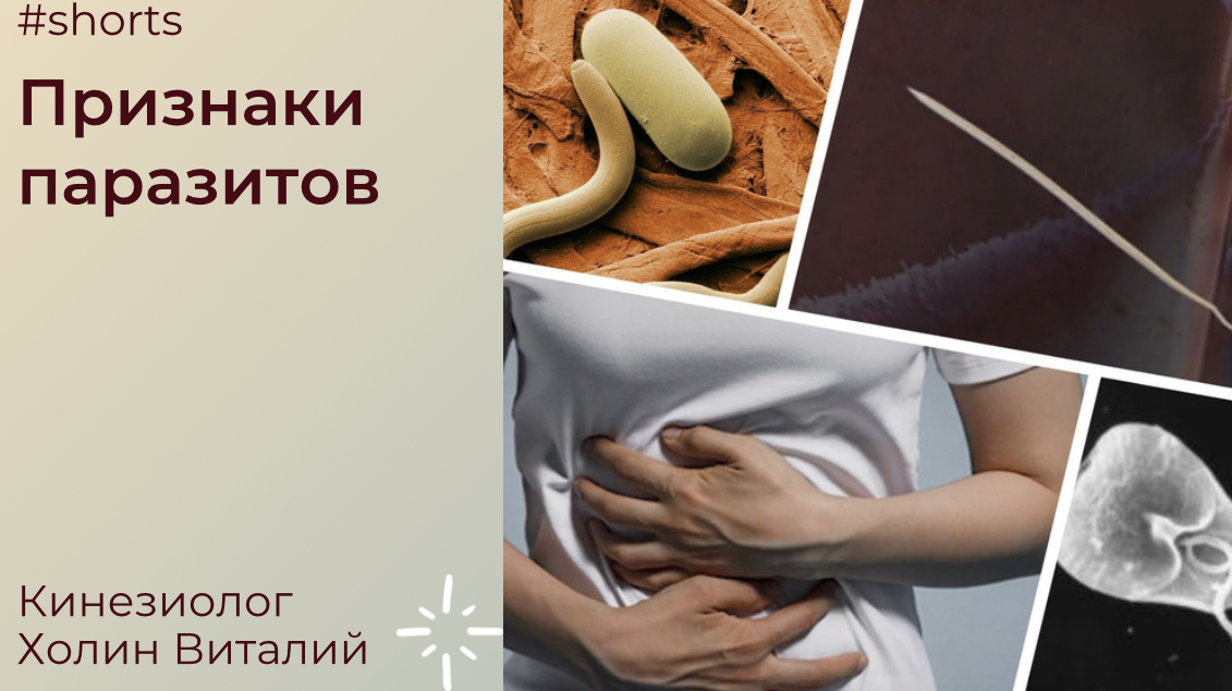 Признаки паразитов смотреть онлайн