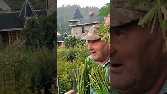 А вот и результаты "работы", нашей доблестной администрации. Людям и так сойдет, решили они... смотреть онлайн