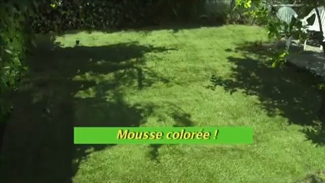 HYDROMOUSSE Liquide densemencement de pelouse смотреть онлайн