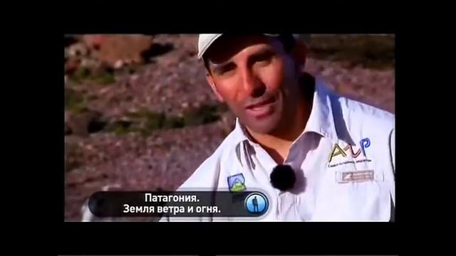 Реклама(Моя планета.09.10.2011) смотреть онлайн