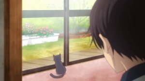 Позови кота с собой (ОРИГИНАЛ)