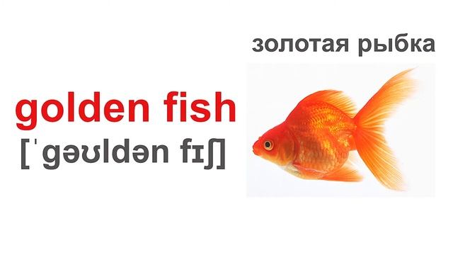 Английские карточки Домана на тему «Животные/Animals». English Doman cards. смотреть онлайн