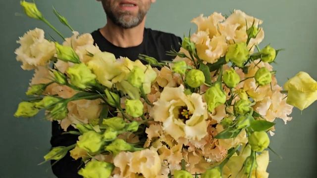 EUSTOMA E FALDA APRICOT - Florea.cz смотреть онлайн