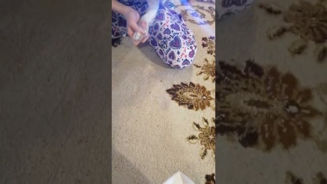 гриндер для собак Tenberg Stim Pro смотреть онлайн