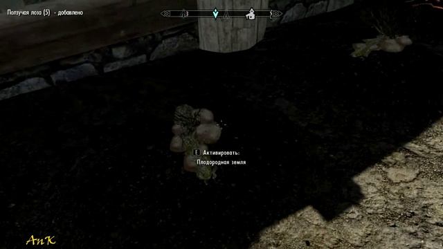 Skyrim. Быстрый способ прокачки навыка алхимия. смотреть онлайн