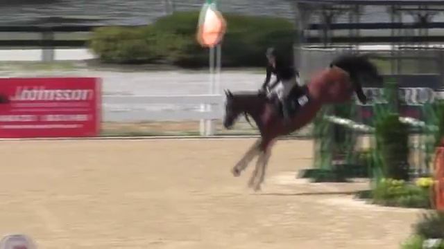 Video of CLAAS 16 ridden by LINDSAY MAXWELL from ShowNet! смотреть онлайн
