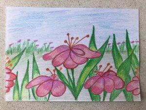 Рисунок Цветы Ранняя весна карандашами