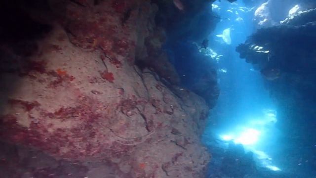 A slow dive along John Brewer Reef on the Great Barrier Reef смотреть онлайн